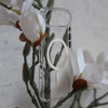 Liavec Pure Case do Iphone 17 Air gardenia
