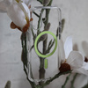 Liavec Pure Case do Iphone 17 zielony